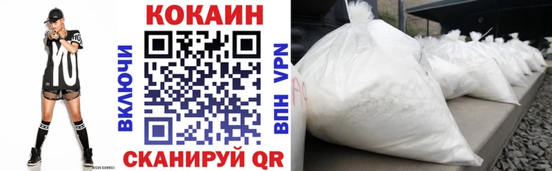 КОКАИН Fish Scale  Купить закладки  Щучье 