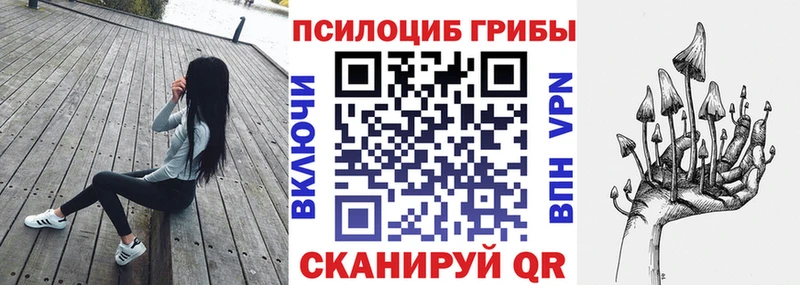 Псилоцибиновые грибы Psilocybine cubensis  Купить закладки  Щучье