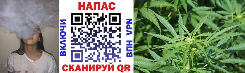 Купить закладки  Щучье  Конопля конопля 